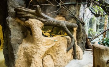 Zoo Ostrava otevřela nové expozice v Pavilonu evoluce