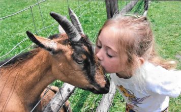 OTEVÍRÁ SE OJEDINĚLÁ ŠKOLIČKA S FARMOU