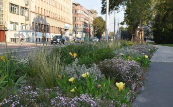 Nové trvalkové záhony zkrášlí frekventovaná místa ve městě