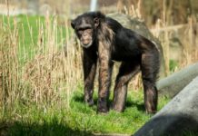 Pavilon evoluce byl přihlášen do soutěže Náš evropský projekt 2021. Podpořte jej svým hlasem!