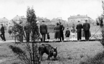 70 let Zoo Ostrava: Od hornického parku po uznávanou ochranářskou organizaci