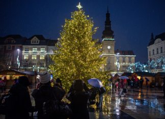 Vánoční strom na Masyrykově náměstí se rozzářil. Město připravuje rychlou pomoc stánkovým prodejcům