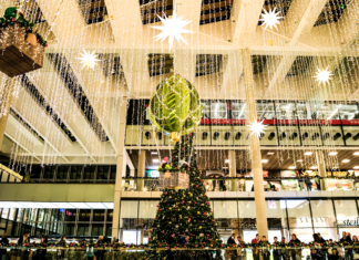 Letošní Vánoce by mohly být „nejsilnější“ za poslední roky míní Forum Nová Karolina