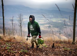 Kolem Radhoště roste 1500 nových jedlí, které zadrží vodu a přinesou do krajiny pestrost