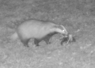 Biodiverzita v Zoo Ostrava: Noční život v zoo II