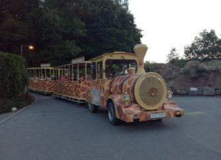 V Zoo Ostrava proběhla Noc snů – speciální večer pro handicapované děti