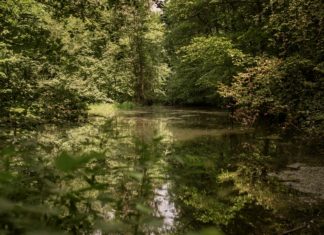 Nošovické rybníčky slaví 20 let. Celkem už vyčistily 451 velkých bazénů vody