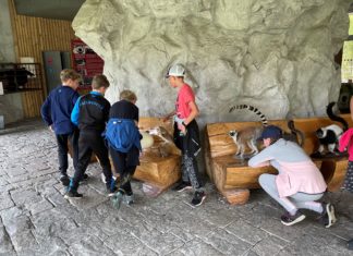 V zoo proběhlo první kolo Velké ceny malých zoologů. Vítěz bude znám příští pátek, kdy proběhne finále soutěže.