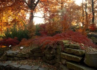Podzimní Zoo Ostrava