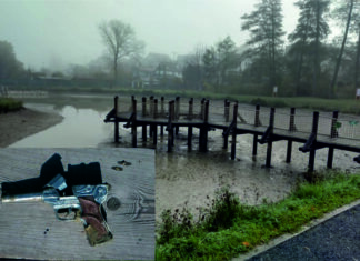 Policejní manévry u rybníka