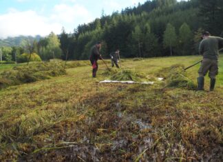 Radegast podpořil vznik tůní a výsadbu stromů v Beskydech