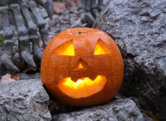 Halloween a lampionový průvod v Zoo Ostrava