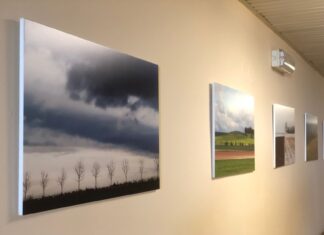 Další lůžkové oddělení Chirurgické kliniky FN Ostrava se proměnilo v galerii