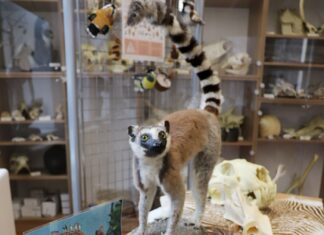 Pololetní prázdniny v Zoo Ostrava