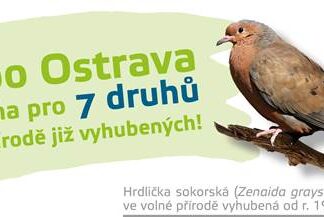 Zoo Ostrava se připojuje k hnutí „Reverse the Red“