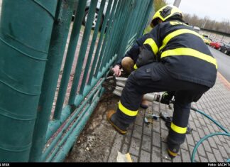 Hasiči v Ostravě zachránili dalšího psa v nouzi