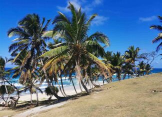 O Velikonocích se Češi rozletí po celém světě