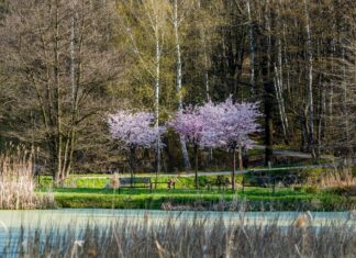 1. máj v Zoo Ostrava: Den pro zoologické zahrady