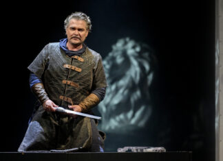 DALIBOR BEDŘICHA SMETANY POČTRNÁCTÉ V OSTRAVĚ