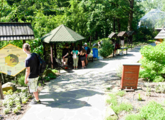 Den pro včely a medobraní v Zoo Ostrava