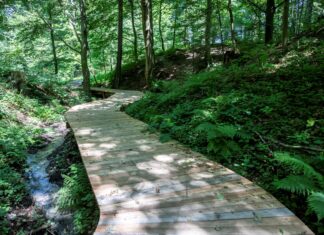 Cesta vody a park nad rybníkem zatraktivní část Bělskéh