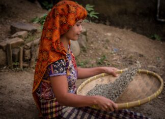 Kukang Tour – Záchranný program Kukang představí jedinečný dokument o ochraně outloňů na Sumatře. Tento víkend v Zoo Ostrava.
