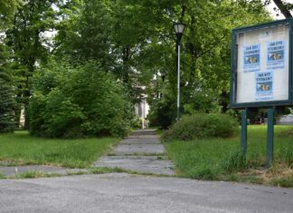 Tylův sad nedaleko Přírodovědecké fakulty OU čeká proměna