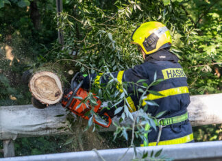 Hasiči v Těrlicku odstraňovali zlomený strom, zůstal zavěšený na drátech nízkého napětí