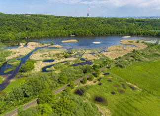 CHRÁNIT VZÁCNOU VÁŽKU, HUSU POLNÍ, VSTAVAČE MÁJOVÉ NEBO TŘEBA ŽELVU BAHENNÍ POMŮŽE REVITALIZOVANÝ RYBNÍK ŠTĚPÁN
