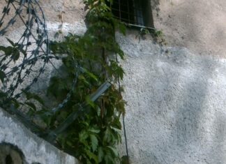 Elektřinu odebírali načerno