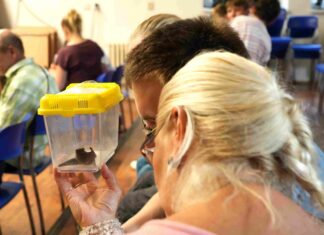 Mezinárodní noc pro netopýry 2023 v Zoo Ostrava