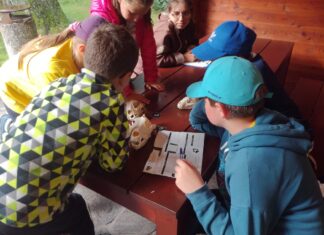 V Zoo Ostrava probíhá soutěž Velká cena malých zoologů