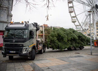 Město zajistí svoz vánočních stromků od kontejnerových stání v blízkosti sídlištní a bytové zástavby