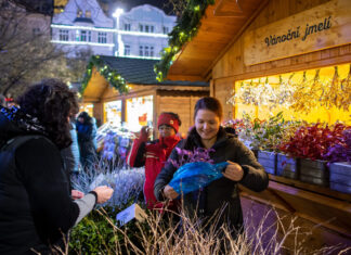 V centru města začaly přípravy na Ostravské Vánoce