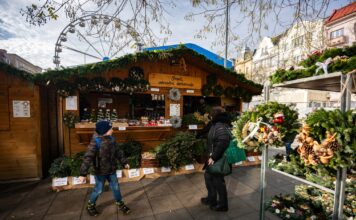 Ostravské Vánoce začínají již tuto sobotu, strom se rozsvítí za týden, o prvním adventním víkendu