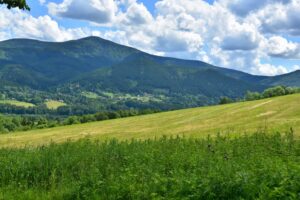 Pohled na Lysou horu-foto Petr Žižka