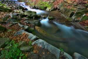 Příroda Ostravice- foto Petr Žižka