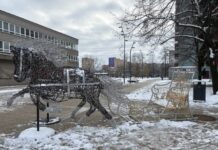 Ulice Jihu se vánočně rozsvítí 1. prosince