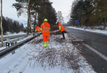 ŘSD při zimní údržbě prořezává stromy, které by mohly ohrozit provoz