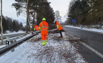 ŘSD při zimní údržbě prořezává stromy, které by mohly ohrozit provoz