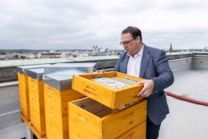 Instalace úlů na Nové radnici_primátor Jan Dohnal_foto Jiří Zerzoň