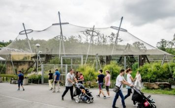 VLAKEM DO ZOO? OSTRAVA JEDNÁ I O DALŠÍCH PROJEKTECH