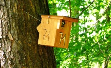 DEN PTACTVA V ZOO OSTRAVA