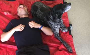 OSTRAVŠTÍ HASIČI SE ZDOKONALOVALI V PRVNÍ POMOCI PSŮM A KOČKÁM