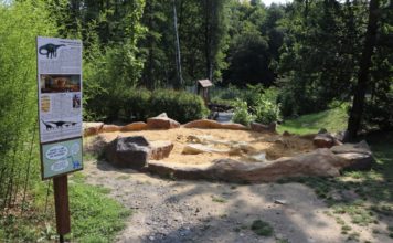 ZOO V ČERVENCI NAVŠTÍVILO PŘES 100 TISÍC LIDÍ, POPRVÉ V HISTORII!