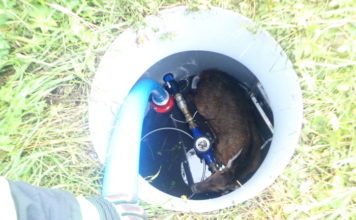 ZÁCHRANA KOLOUCHA Z VODOMĚRNÉ ŠACHTICE V BESKYDECH