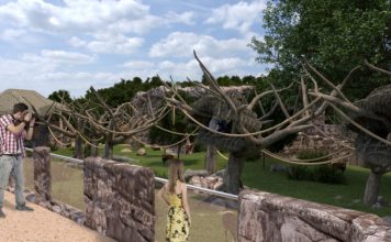 V ZOO Ostrava se začnou stavět expozice pro makaky a gibony