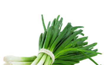 Recepty plné vitamínů – sezóna jarní cibulky a ředkviček právě odstartovala!