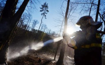 Šest hasičských jednotek likvidovalo požár lesního porostu v Petřvaldu, byl vyhlášen druhý stupeň poplachu