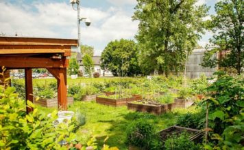 DALŠÍCH PĚT PROJEKTŮ OBYVATEL ZÍSKALO PODPORU MĚSTA